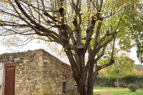 Masia a Murs, Vaucluse, Murs - € 360.000 | Ref: 340930061619 - foto 14
