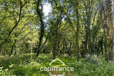 Villa en Loudeac, Cotes-d'Armor, Loudeac - € 325.000 | Ref: 340933030813 - photo 20