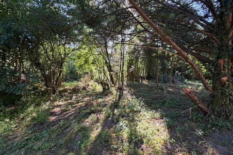 Villa a Plaisance, Gers, Plaisance - € 275.000 | Ref: 340936616826 - foto 16