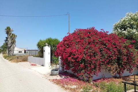 Finca i Daya Nueva, Alicante, Daya Nueva - € 395.000 | Ref: SPS162697 - foto 6