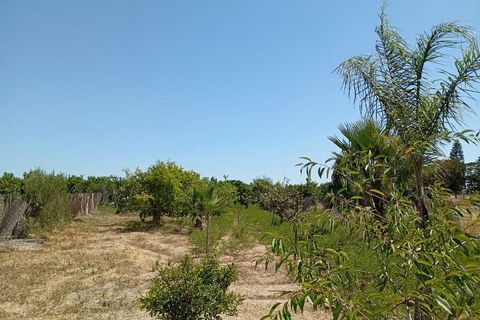 Finca i Daya Nueva, Alicante, Daya Nueva - € 395.000 | Ref: SPS162697 - foto 11