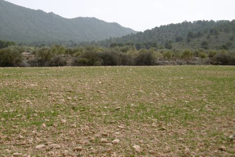 Terra em Yecla, Murcia, Yecla - € 13.000 | Ref: 41090-PB - foto 1