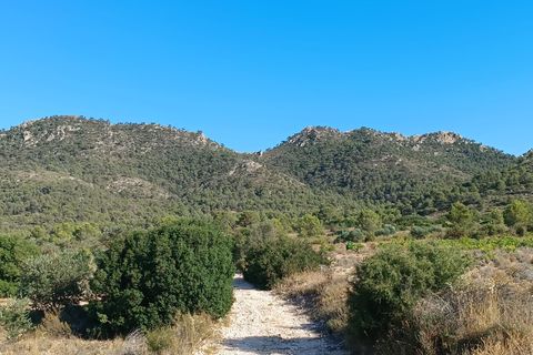 Terra em Yecla, Murcia, Yecla - € 13.000 | Ref: 41090-PB - foto 3