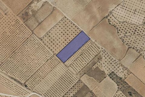 Terra em Yecla, Murcia, Yecla - € 13.000 | Ref: 41090-PB - foto 4