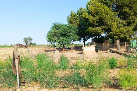 Masia a Yecla, Murcia, Yecla - € 89.000 | Ref: 41088-PB - foto 12
