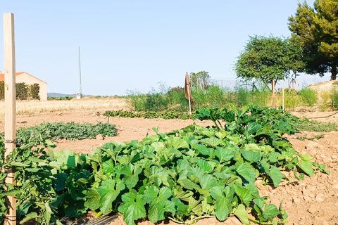 Masia a Yecla, Murcia, Yecla - € 89.000 | Ref: 41088-PB - foto 13
