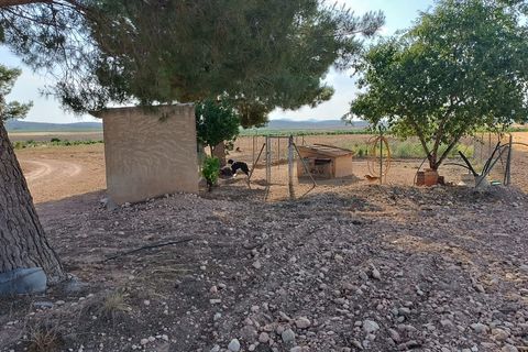 Masia a Yecla, Murcia, Yecla - € 89.000 | Ref: 41088-PB - foto 15