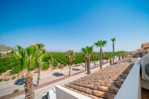 Villa i Algorfa, Alicante, Algorfa - € 235.000 | Ref: CSPC-69814 - foto 30