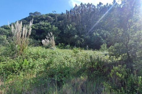 Grond in Mafra, Lisbon, Mafra - € 49.900 | Ref: 960640 - foto 4