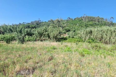 Grond in Mafra, Lisbon, Mafra - € 49.900 | Ref: 960640 - foto 5