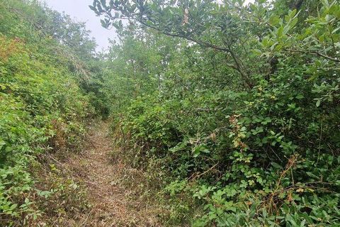 Grond in Mafra, Lisbon, Mafra - € 49.900 | Ref: 960640 - foto 6