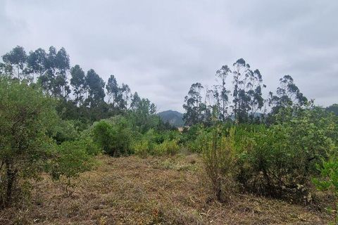 Grond in Mafra, Lisbon, Mafra - € 49.900 | Ref: 960640 - foto 8