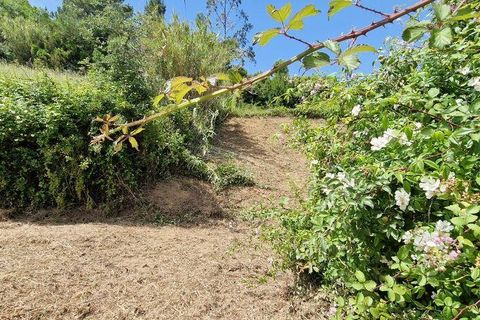 Grond in Mafra, Lisbon, Mafra - € 49.900 | Ref: 960640 - foto 9