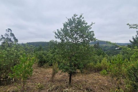 Grond in Mafra, Lisbon, Mafra - € 49.900 | Ref: 960640 - foto 10