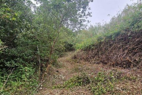 Grond in Mafra, Lisbon, Mafra - € 49.900 | Ref: 960640 - foto 13