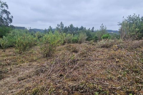 Grond in Mafra, Lisbon, Mafra - € 49.900 | Ref: 960640 - foto 15