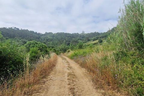 Grond in Mafra, Lisbon, Mafra - € 49.900 | Ref: 960640 - foto 17