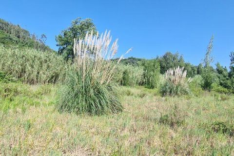 Grond in Mafra, Lisbon, Mafra - € 49.900 | Ref: 960640 - foto 18