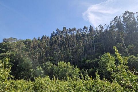 Grond in Mafra, Lisbon, Mafra - € 49.900 | Ref: 960640 - foto 19