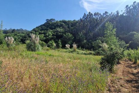Grond in Mafra, Lisbon, Mafra - € 49.900 | Ref: 960640 - foto 22