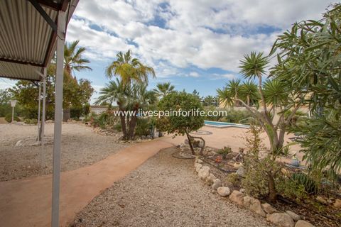 Landejendom i Albatera, Alicante, Albatera - € 397.000 | Ref: ALBA CR-D - foto 17
