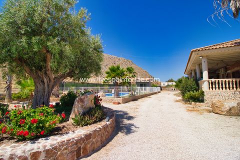 Herregård i Cox, Alicante, Cox - € 348 000 | Ref: Cox JB - foto 29