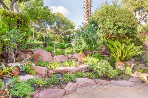 Villa i Naquera, Valencia, Naquera - € 950.000 | Ref: VV2607008 - foto 46