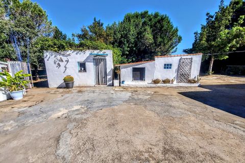 Villa i Montserrat, Valencia, Montserrat - € 189.000 | Ref: VLC9405 - foto 27