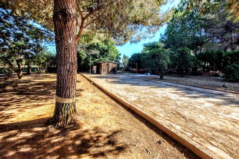 Villa i Montserrat, Valencia, Montserrat - € 189.000 | Ref: VLC9405 - foto 32