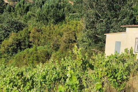 Grond in Mafra, Lisbon, Mafra - € 240.000 | Ref: 962815 - foto 1
