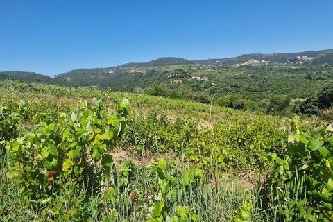Grond in Mafra, Lisbon, Mafra - € 240.000 | Ref: 962815 - foto 2