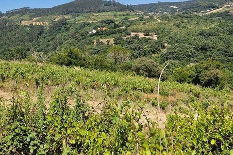 Grond in Mafra, Lisbon, Mafra - € 240.000 | Ref: 962815 - foto 3