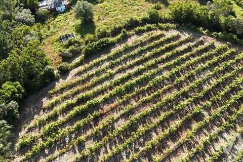 Grond in Mafra, Lisbon, Mafra - € 240.000 | Ref: 962815 - foto 4
