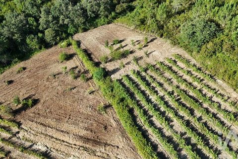 Grond in Mafra, Lisbon, Mafra - € 240.000 | Ref: 962815 - foto 6