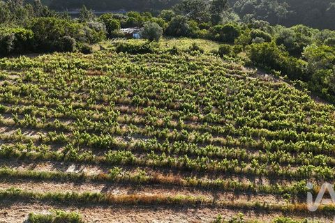 Grond in Mafra, Lisbon, Mafra - € 240.000 | Ref: 962815 - foto 7