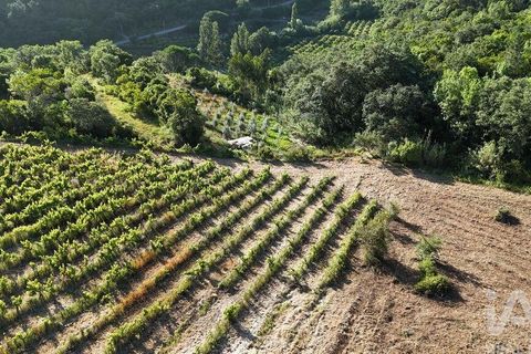 Grond in Mafra, Lisbon, Mafra - € 240.000 | Ref: 962815 - foto 8