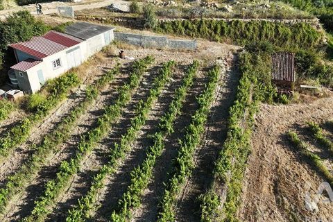 Grond in Mafra, Lisbon, Mafra - € 240.000 | Ref: 962815 - foto 9
