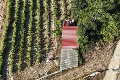Grond in Mafra, Lisbon, Mafra - € 240.000 | Ref: 962815 - foto 10