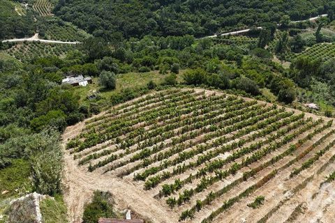 Grond in Mafra, Lisbon, Mafra - € 240.000 | Ref: 962815 - foto 11