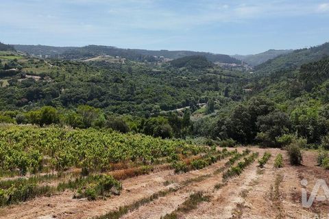 Grond in Mafra, Lisbon, Mafra - € 240.000 | Ref: 962815 - foto 13