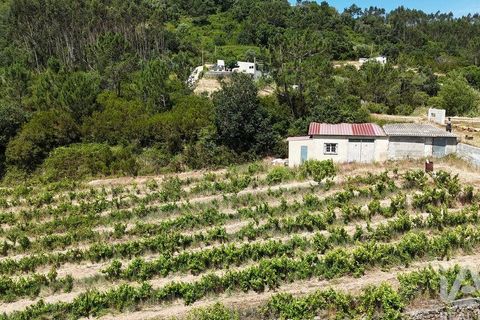 Grond in Mafra, Lisbon, Mafra - € 240.000 | Ref: 962815 - foto 14