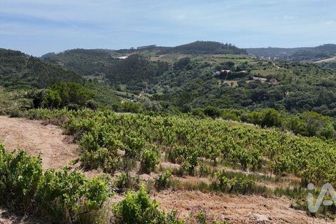 Grond in Mafra, Lisbon, Mafra - € 240.000 | Ref: 962815 - foto 16