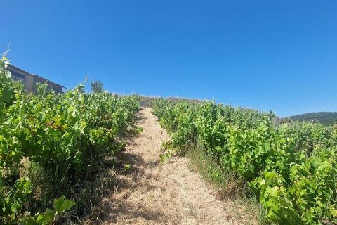 Grond in Mafra, Lisbon, Mafra - € 240.000 | Ref: 962815 - foto 20