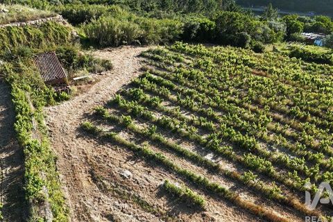 Grond in Mafra, Lisbon, Mafra - € 240.000 | Ref: 962815 - foto 24