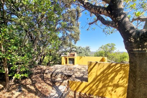 Villa en Moncarapacho, Faro, Moncarapacho - € 1.160.000 | Ref: MV629 - photo 39