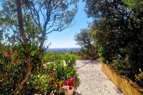 Villa en Moncarapacho, Faro, Moncarapacho - € 1.160.000 | Ref: MV629 - photo 45