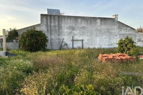 Terra a Palmela, Setubal, Palmela - € 480.000 | Ref: 967371 - foto 5