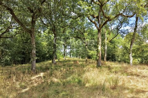 Villa i Eymet, Dordogne, Eymet - € 275.600 | Ref: CTR047 - foto 17