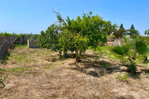 Villa i Daya Nueva, Alicante, Daya Nueva - € 395.000 | Ref: 97876 - foto 19