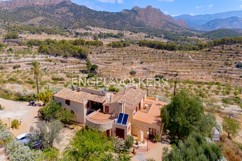 Finca i Relleu, Alicante, Relleu - € 925 000 | Ref: W-04ALNT - foto 46